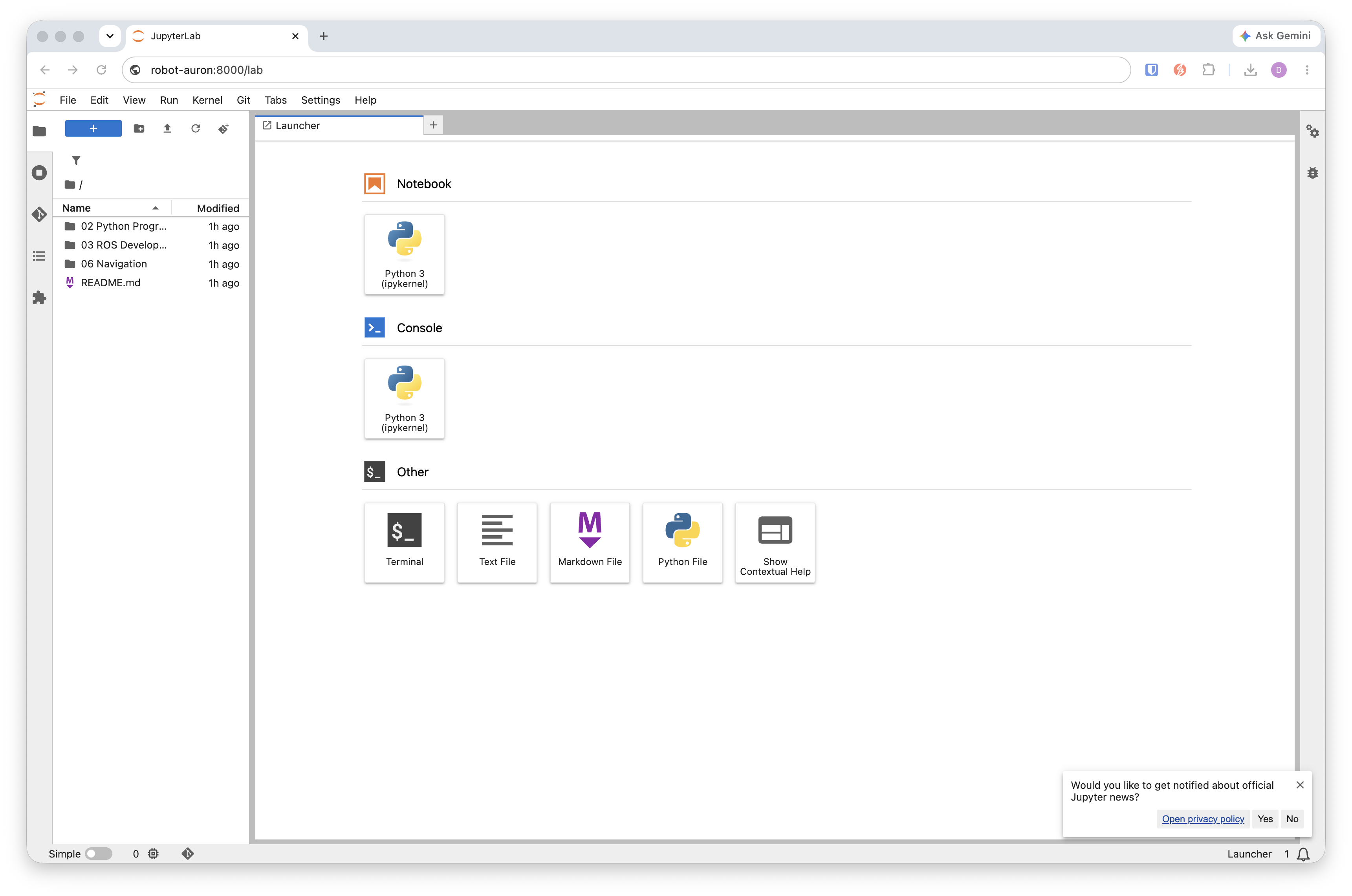 JupyterLab launcher page at robot.local:8000/lab with notebook and file options.